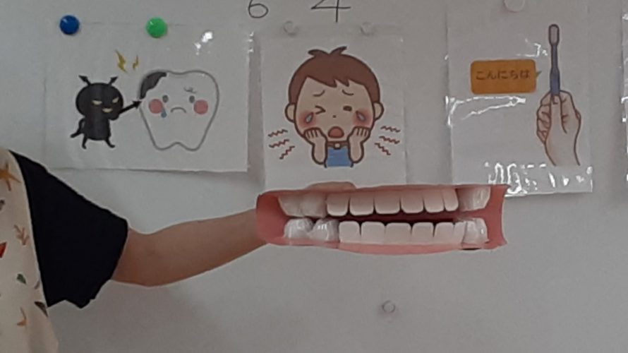歯みがき指導🦷看護師より