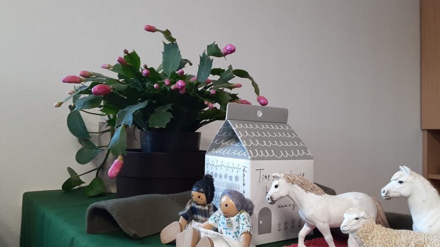 花🌷咲かせよう