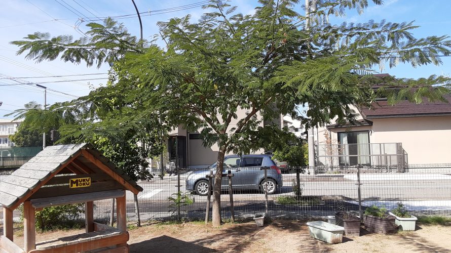 園庭遊具の点検🙆OK